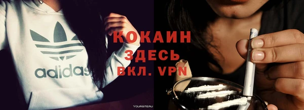 дживик Аша