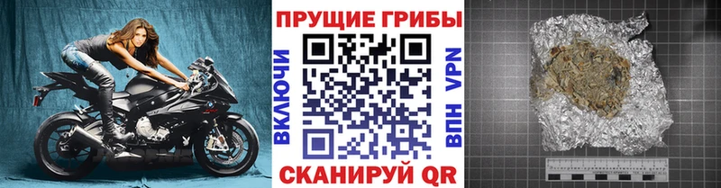даркнет сайт  MEGA зеркало  Галлюциногенные грибы Cubensis  Дубовка 