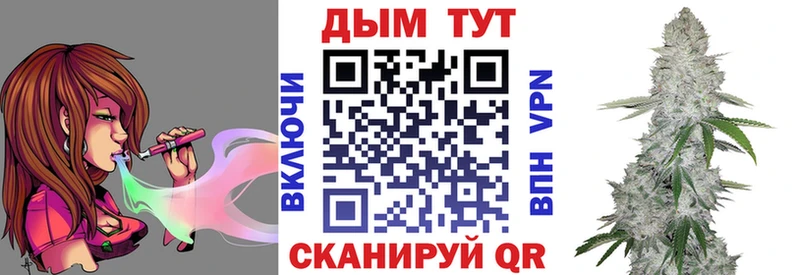 Конопля индика  продажа наркотиков  Дубовка 